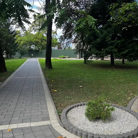 At Kvitka Polonyny Solochin